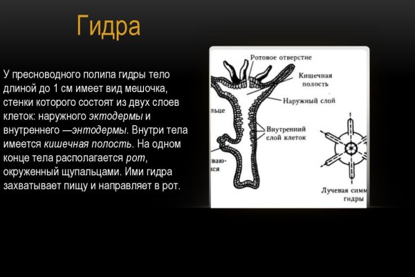 Kraken как найти ссылку